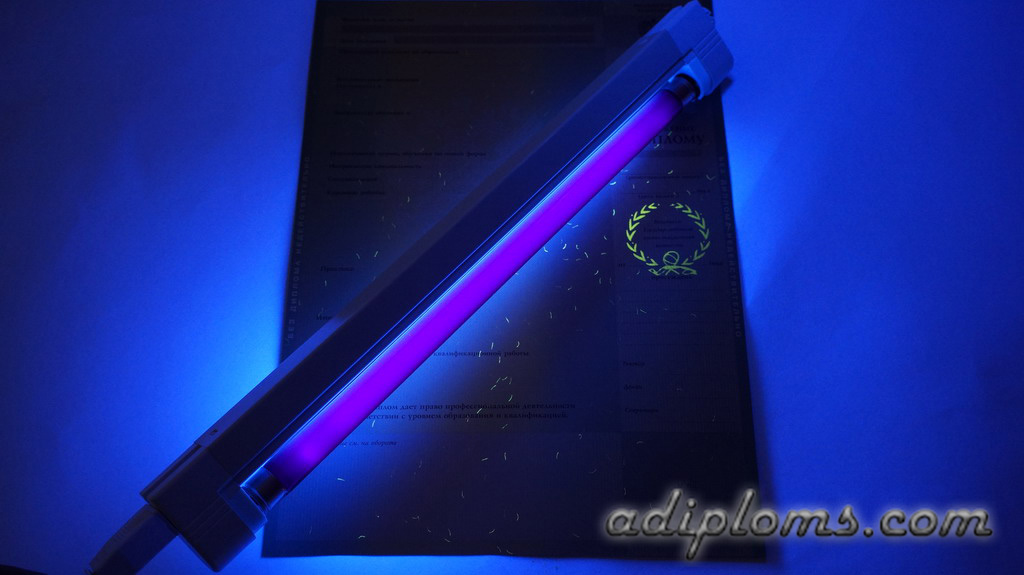 Диплом бакалавра 2010-2013 Фото Диплом бакалавра 2010-2013 Фото