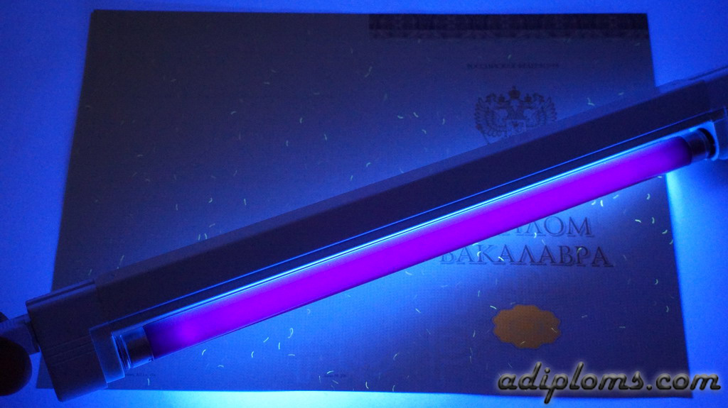 Диплом бакалавра 2014-2025 Фото Диплом бакалавра 2014-2025 Фото